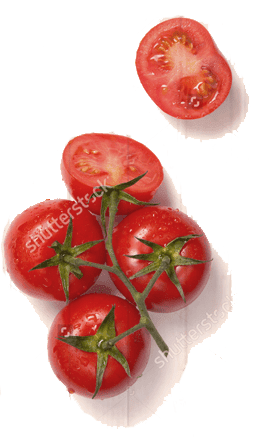 tomatoes